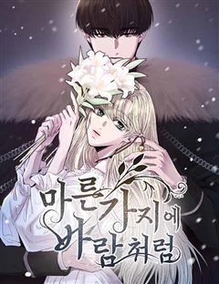 마른 가지에 바람처럼 표지