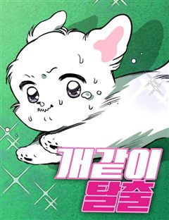 개같이 탈출 표지