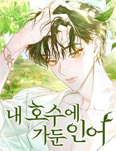 내 호수에 가둔 인어 표지