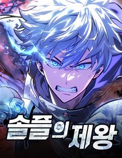 솔플의 제왕 표지