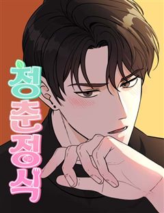 청춘정식 표지