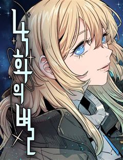 낙화의별 표지