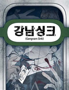 강남싱크 표지