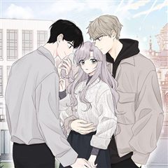 평행선의 100일 표지